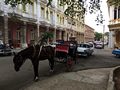 Pferdekutschen und Oldtimer prägen das Strassenbild von Havanna